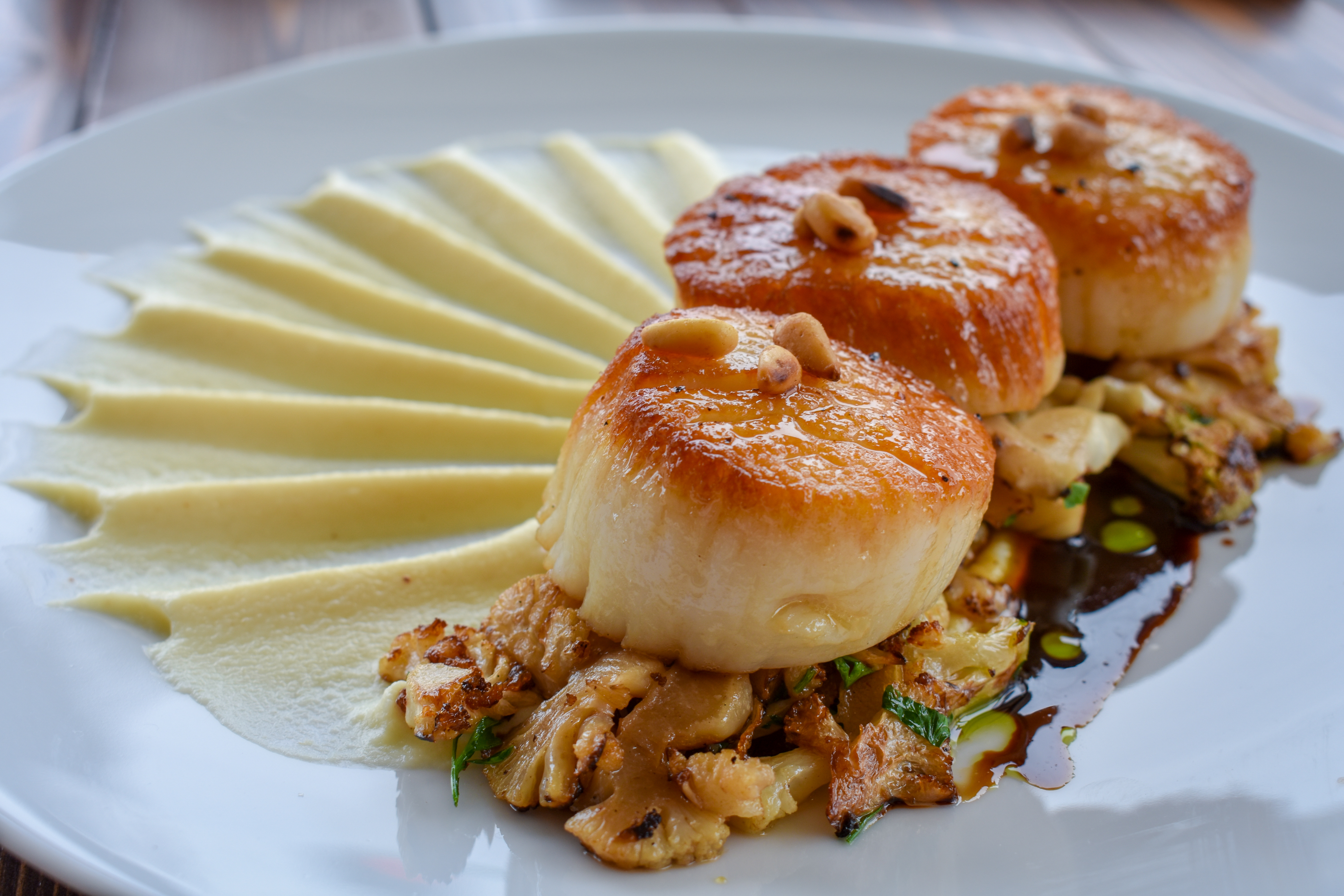 Scallop dish from Fress